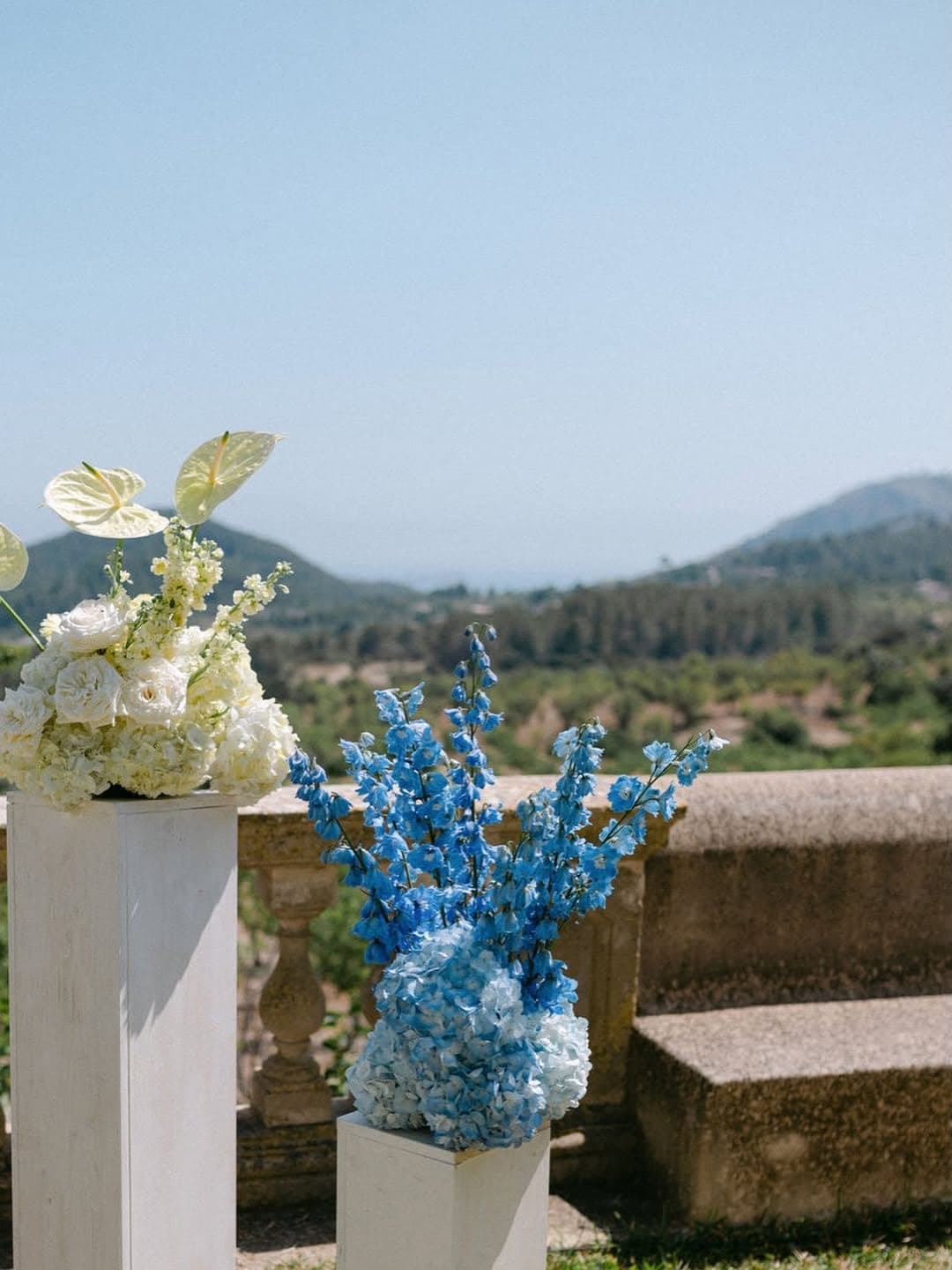 Florale Komposition · Elis Lambert