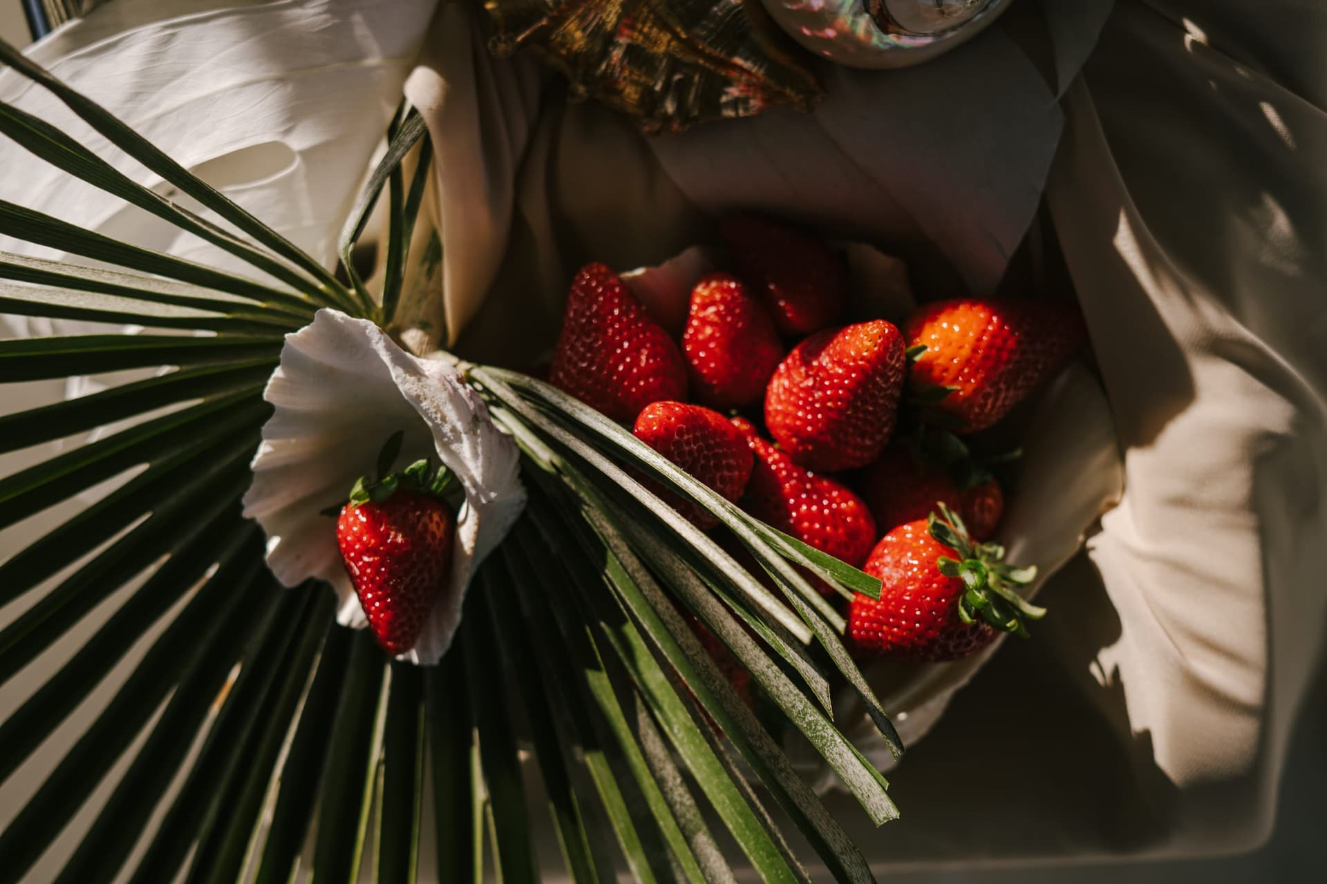 Sun Odyssey Floristik Impression