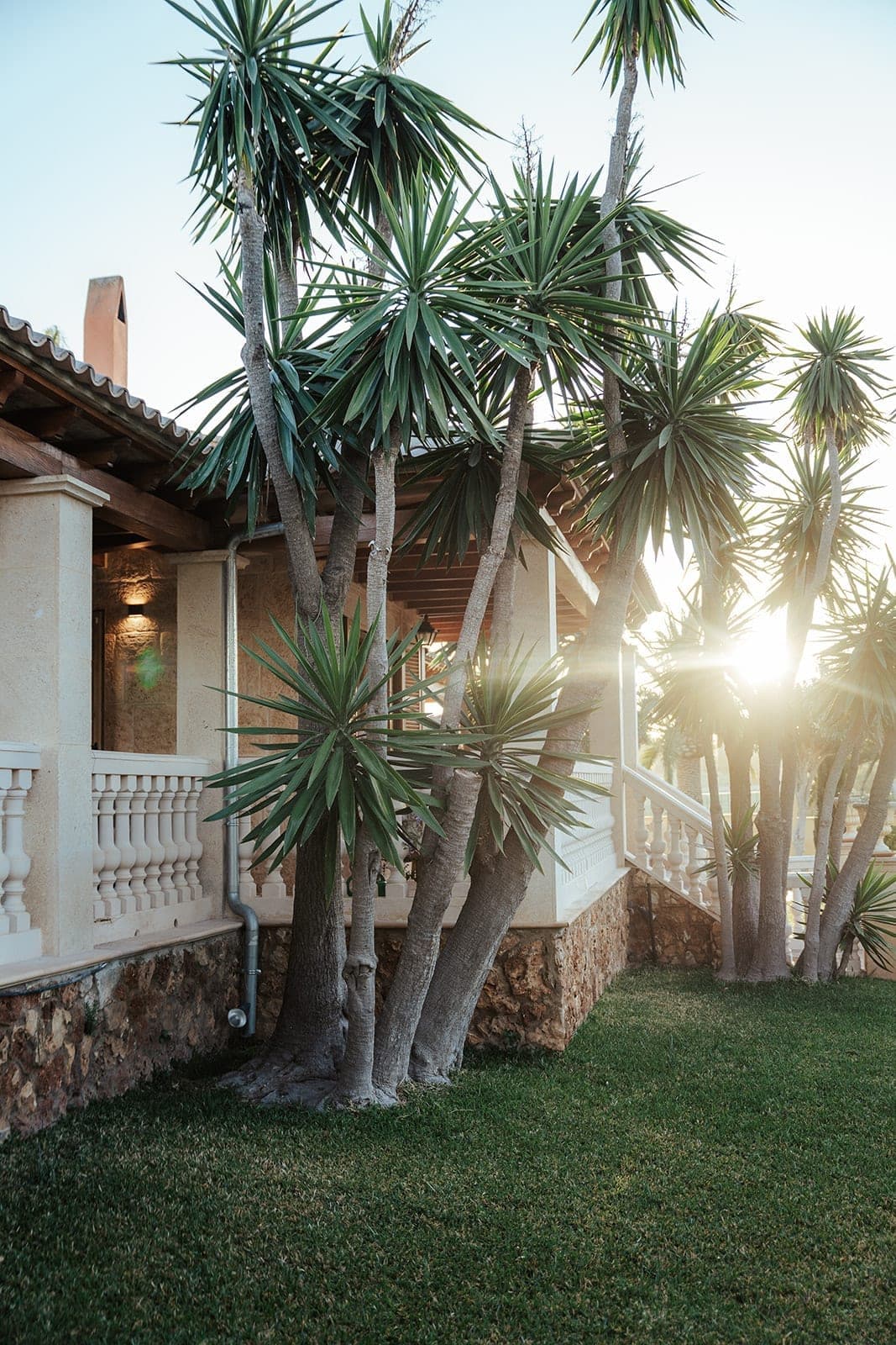 Finca-Hochzeit Impression