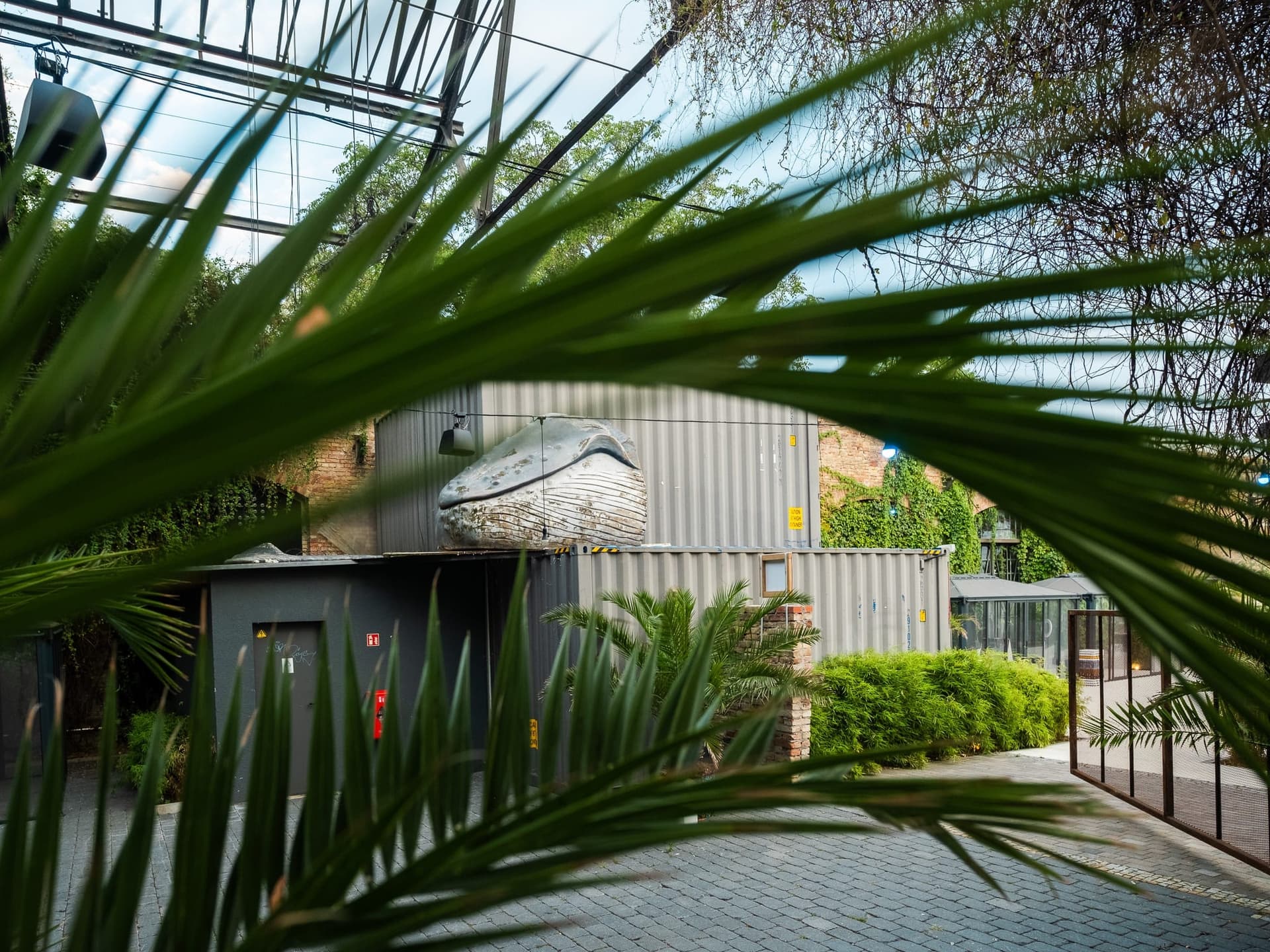 Maya Club Berlin Impression