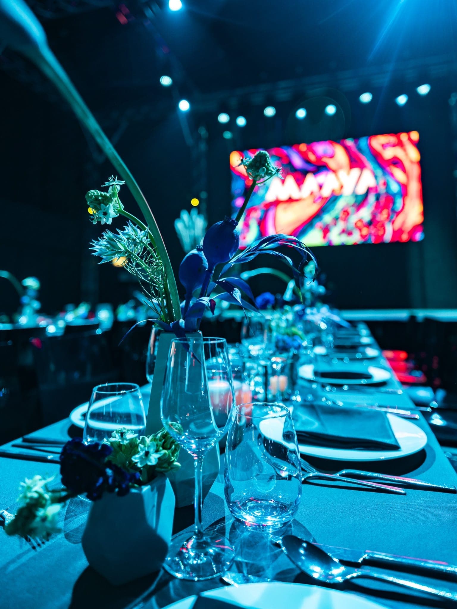 Maya Club Berlin Impression