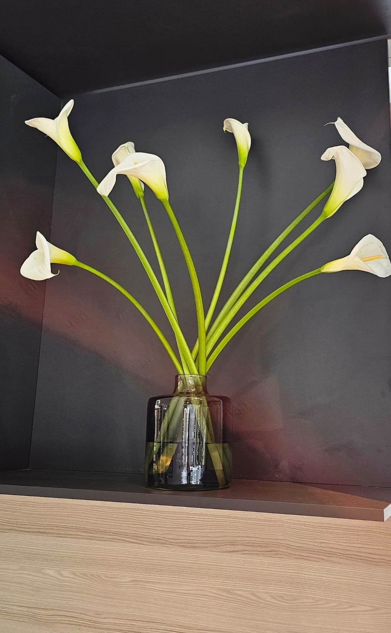 Messe Frankfurt Light + Building Impression