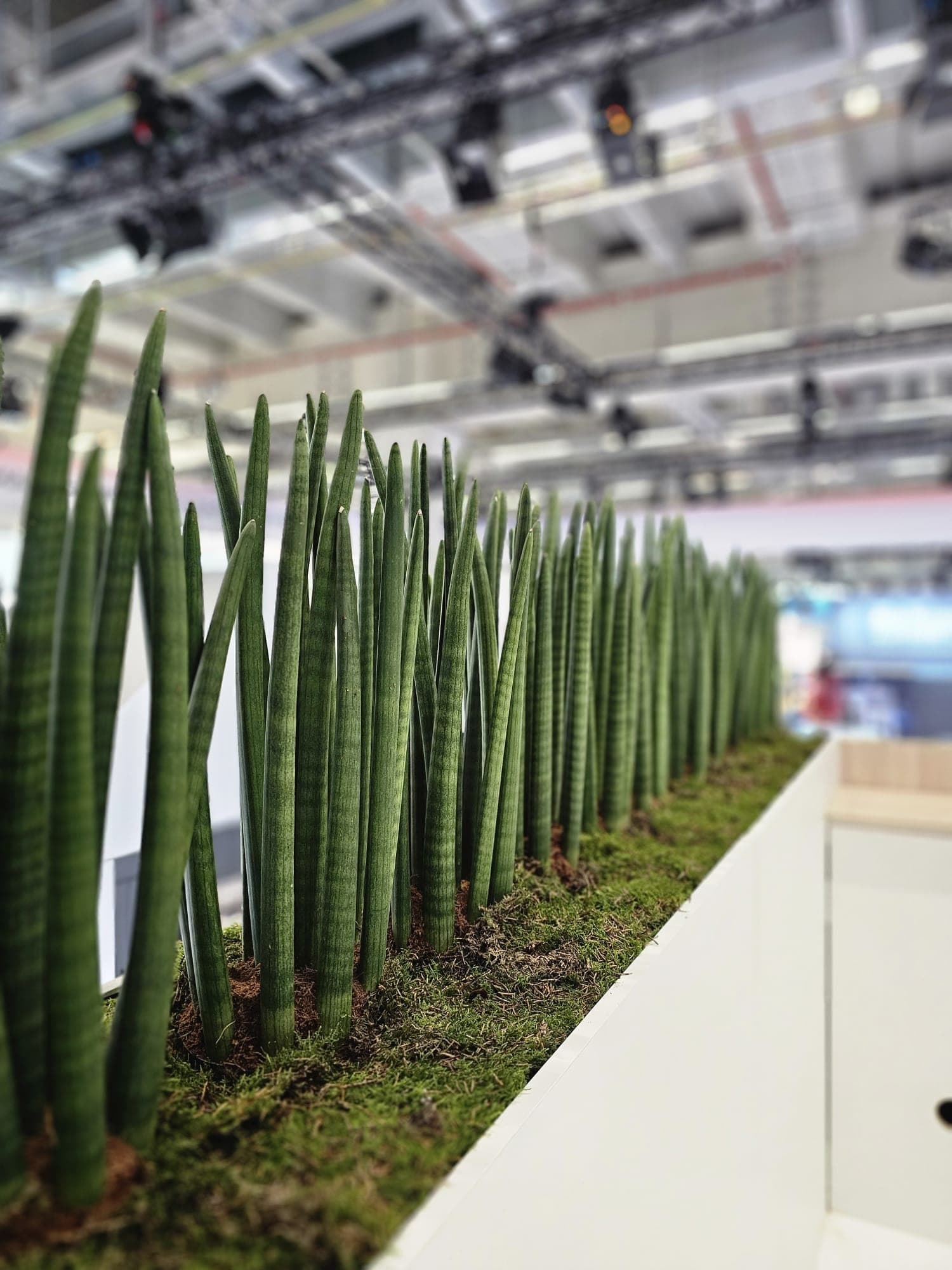 Messe Frankfurt Light + Building Impression